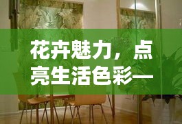 花卉魅力，点亮生活色彩——打造优雅家居必备之选