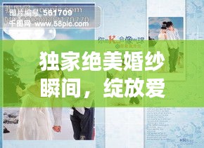 独家绝美婚纱瞬间，绽放爱情的璀璨风采图片