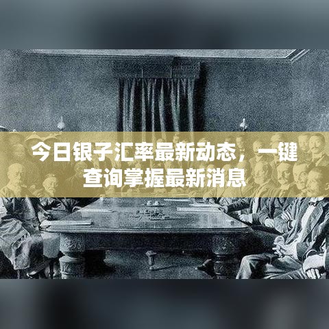 今日银子汇率最新动态，一键查询掌握最新消息