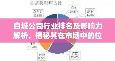 白城公司行业排名及影响力解析，揭秘其在市场中的位置与实力