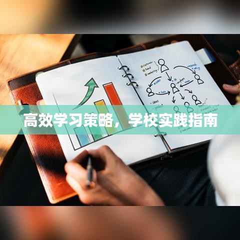 高效学习策略，学校实践指南