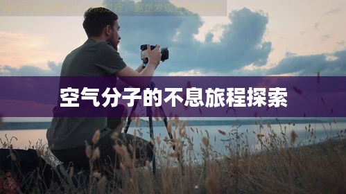 空气分子的不息旅程探索