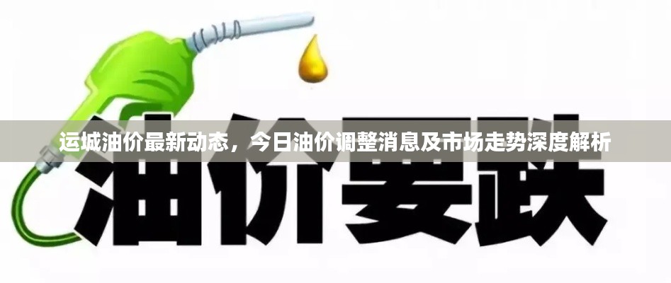 运城油价最新动态，今日油价调整消息及市场走势深度解析
