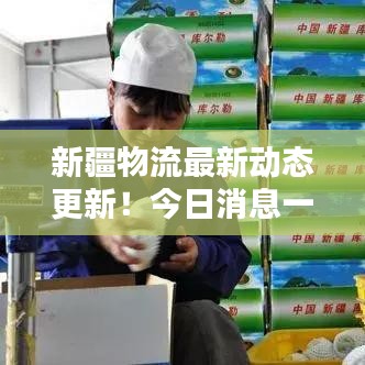 新疆物流最新动态更新！今日消息一网打尽
