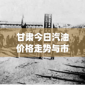 甘肃今日汽油价格走势与市场动态深度解析