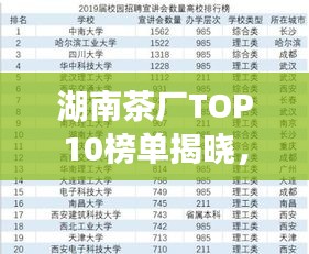 湖南茶厂TOP10榜单揭晓，探秘十大茶厂的魅力与特色！