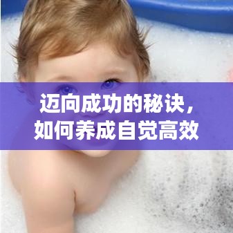 迈向成功的秘诀，如何养成自觉高效的习惯