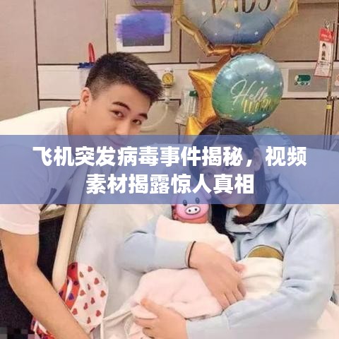 飞机突发病毒事件揭秘，视频素材揭露惊人真相