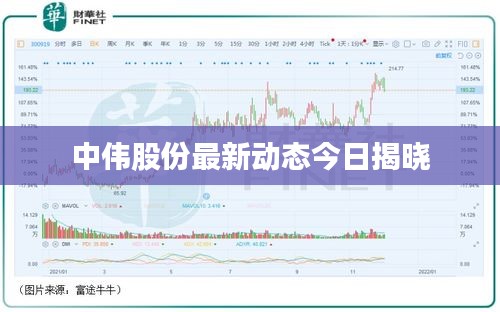 中伟股份最新动态今日揭晓