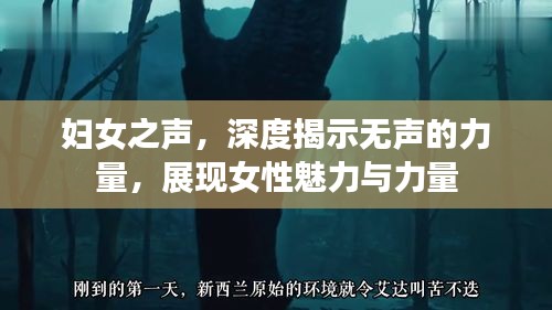妇女之声，深度揭示无声的力量，展现女性魅力与力量