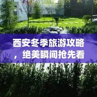 西安冬季旅游攻略，绝美瞬间抢先看（附图片）