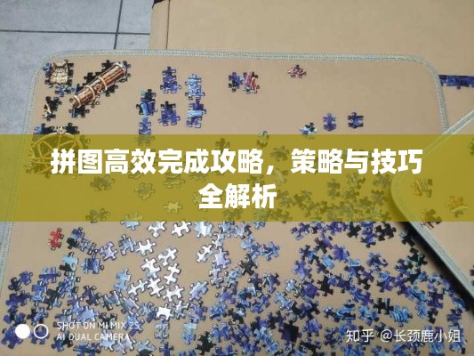 拼图高效完成攻略，策略与技巧全解析