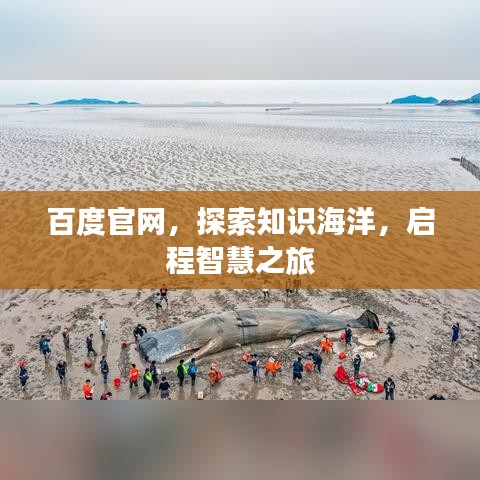 百度官网，探索知识海洋，启程智慧之旅
