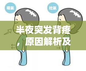 半夜突发背疼，原因解析及应对方法，助你快速缓解痛苦