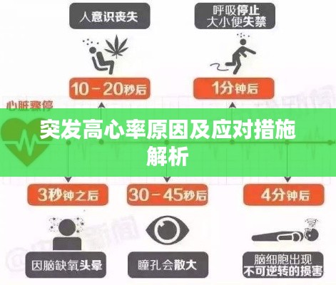 突发高心率原因及应对措施解析
