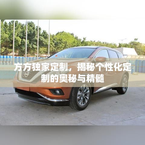 方方独家定制，揭秘个性化定制的奥秘与精髓