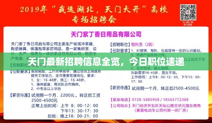 天门最新招聘信息全览，今日职位速递
