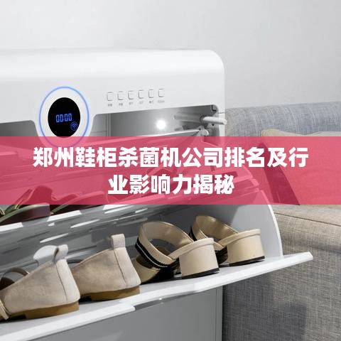 郑州鞋柜杀菌机公司排名及行业影响力揭秘