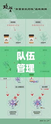 队伍管理六大专题，构建高效团队的稳固基石