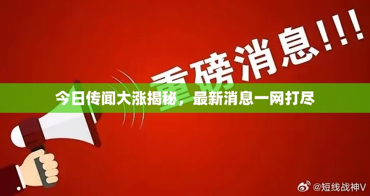 今日传闻大涨揭秘，最新消息一网打尽