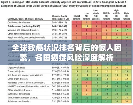 全球致癌状况排名背后的惊人因素，各国癌症风险深度解析
