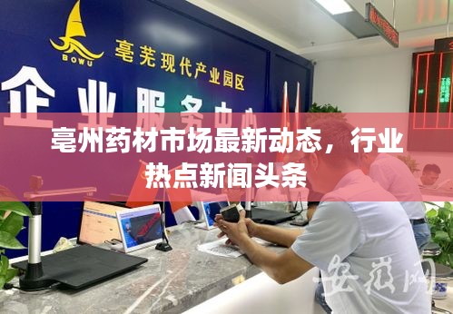 亳州药材市场最新动态，行业热点新闻头条