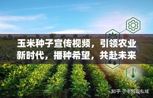 玉米种子宣传视频，引领农业新时代，播种希望，共赴未来丰收之旅