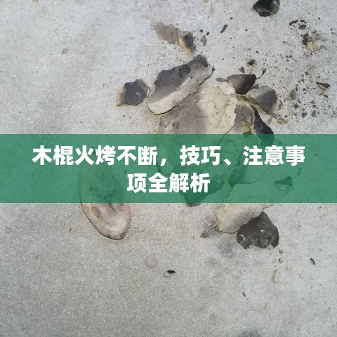 木棍火烤不断，技巧、注意事项全解析