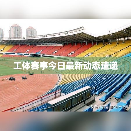 工体赛事今日最新动态速递