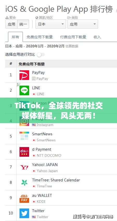 TikTok，全球领先的社交媒体新星，风头无两！