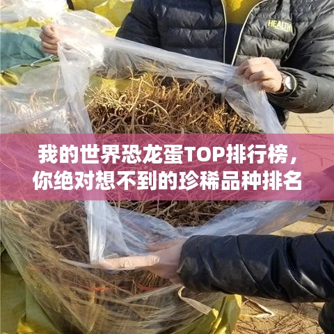 我的世界恐龙蛋TOP排行榜，你绝对想不到的珍稀品种排名！