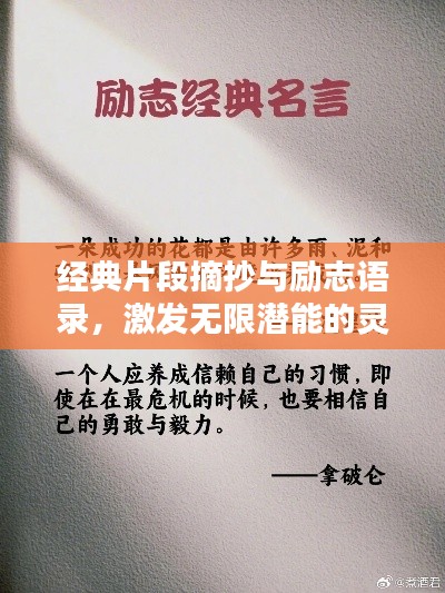 经典片段摘抄与励志语录，激发无限潜能的灵感之源