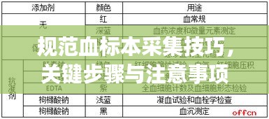规范血标本采集技巧，关键步骤与注意事项