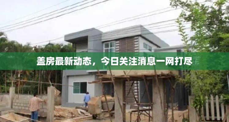 盖房最新动态，今日关注消息一网打尽