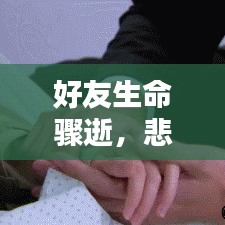好友生命骤逝，悲痛之余的反思与启示