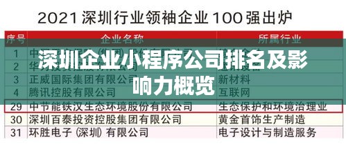 深圳企业小程序公司排名及影响力概览