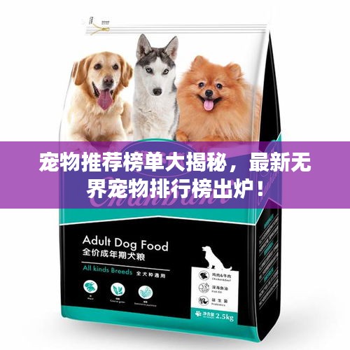 宠物推荐榜单大揭秘，最新无界宠物排行榜出炉！