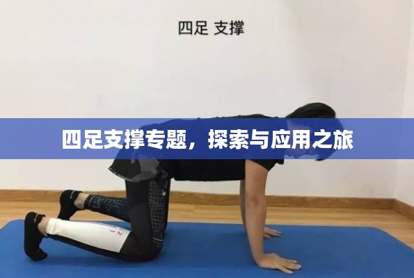 四足支撑专题，探索与应用之旅