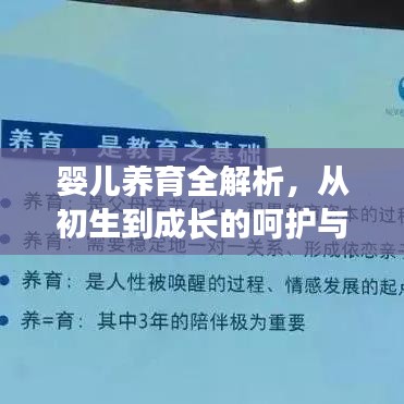 婴儿养育全解析，从初生到成长的呵护与关爱，百度育儿知识指南