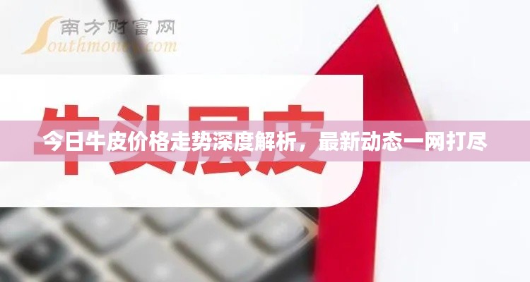 今日牛皮价格走势深度解析，最新动态一网打尽