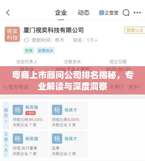 粤商上市顾问公司排名揭秘，专业解读与深度洞察
