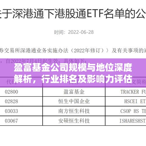 盈富基金公司规模与地位深度解析，行业排名及影响力评估