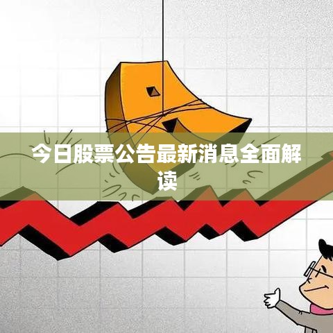 今日股票公告最新消息全面解读