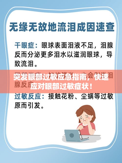 突发眼部过敏应急指南，快速应对眼部过敏症状！