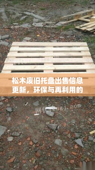 松木废旧托盘出售信息更新，环保与再利用的完美结合