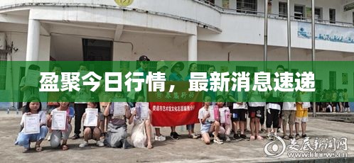 盈聚今日行情，最新消息速递