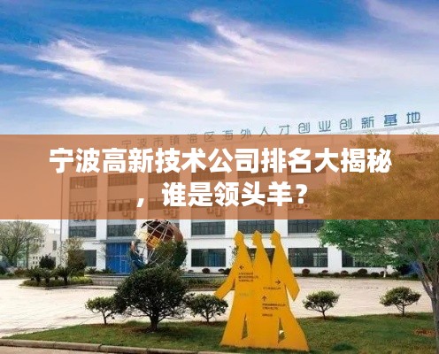 宁波高新技术公司排名大揭秘，谁是领头羊？