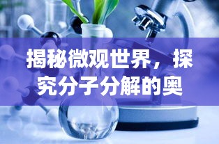 揭秘微观世界，探究分子分解的奥秘之旅