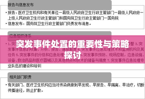 突发事件处置的重要性与策略探讨