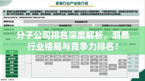 分子公司排名深度解析，洞悉行业格局与竞争力排名！
